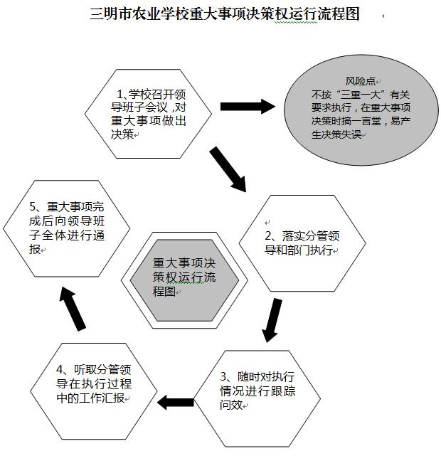 YABO.COM重大事项决策权运行流程图.JPG